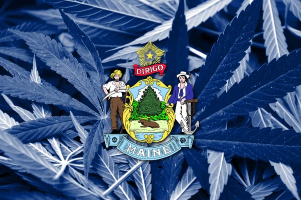 Maine State Flag on cannabis background. Drug policy. Legalization of marijuana — Stock Photo, Image