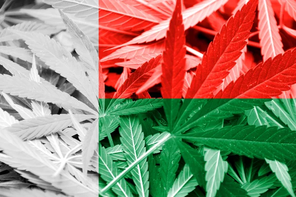 Madagascar Flag on cannabis background. Drug policy. Legalization of marijuana — Stock Photo, Image