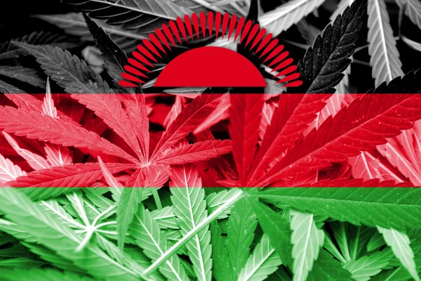 Malawi-Flagge auf Cannabis-Hintergrund. Drogenpolitik. Legalisierung von Marihuana — Stockfoto