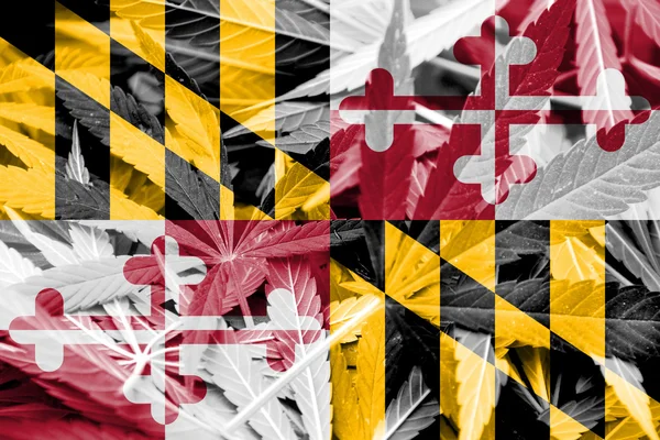 Maryland State Flag on cannabis background. Drug policy. Legalization of marijuana — Stock Photo, Image