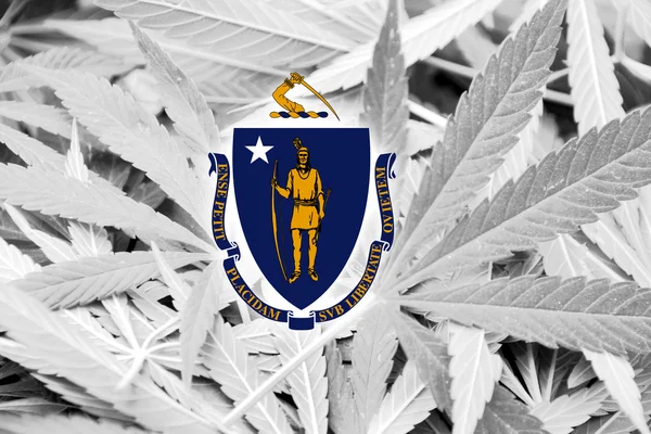 Massachusetts statligt sjunker på cannabis bakgrund. Narkotikapolitik. Legalisering av marijuana — Stockfoto