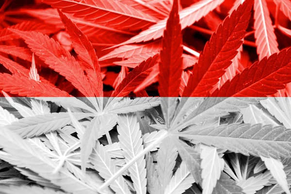 Bandeira de Mônaco em fundo de cannabis. Política de drogas. Legalização da maconha — Fotografia de Stock