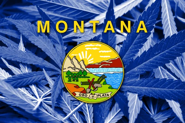 De vlag van Montana op cannabis achtergrond. Beleid van de drug. Legalisatie van marihuana — Stockfoto