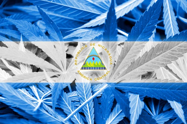 Nicaragua Flag on cannabis background. Drug policy. Legalization of marijuana — Stock Photo, Image