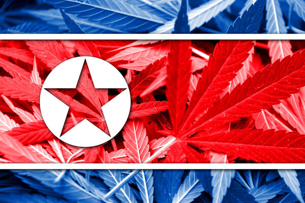 North Korea Flag on cannabis background. Drug policy. Legalization of marijuana