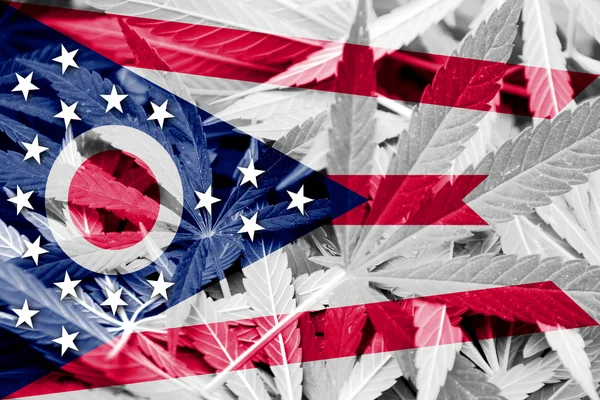 Bandeira do Estado de Ohio sobre fundo de cannabis. Política de drogas. Legalização da maconha — Fotografia de Stock