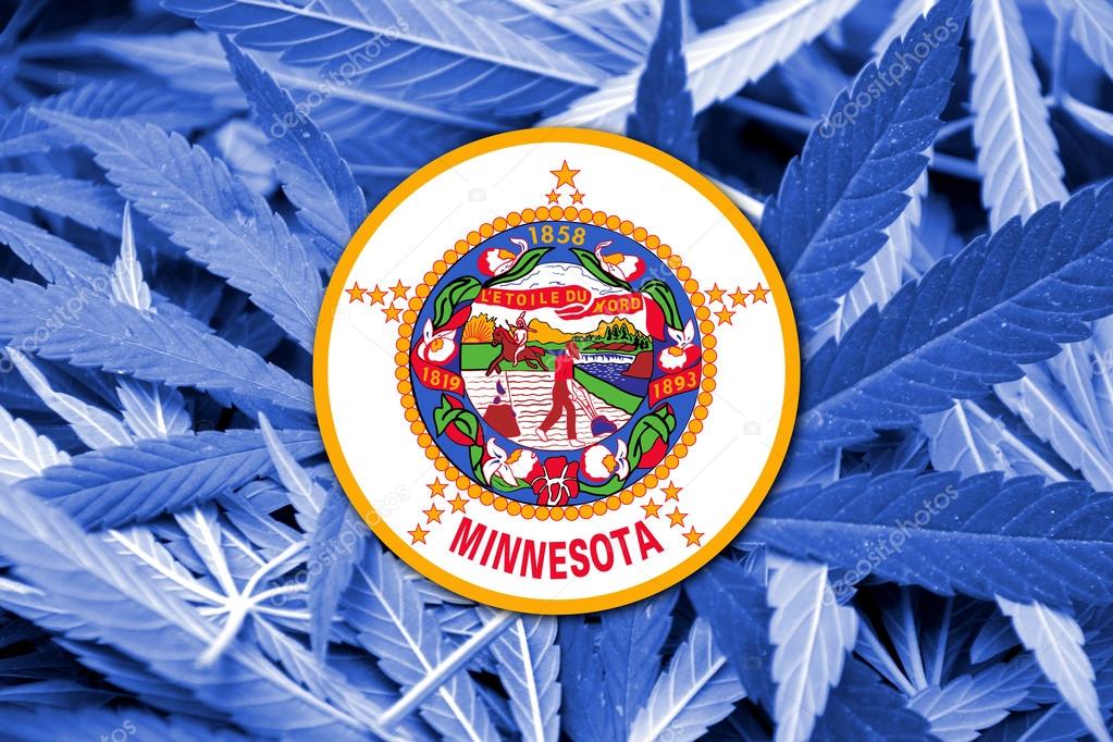 Minnesota State Flag on cannabis background. Drug policy. Legalization of marijuana