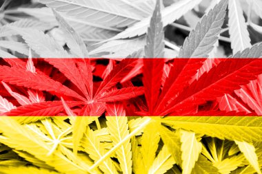 Güney Osetya bayrak esrar arka plan üzerinde. Uyuşturucu politikası. Marihuana yasallaştırma