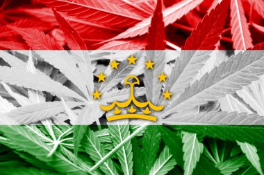 Tacikistan bayrağı esrar arka plan üzerinde. Uyuşturucu politikası. Marihuana yasallaştırma
