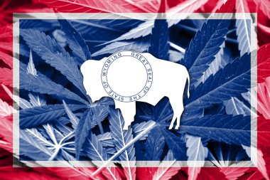 Wyoming Devlet bayrağı esrar arka plan üzerinde. Uyuşturucu politikası. Marihuana yasallaştırma
