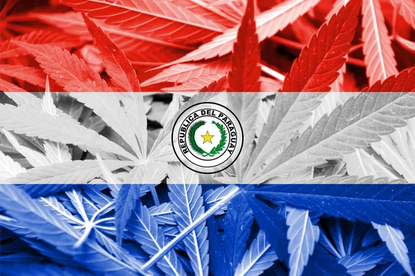 Paraguay flagga på cannabis bakgrund. Narkotikapolitik. Legalisering av marijuana — Stockfoto