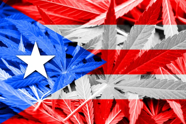 Bandera de Puerto Rico sobre fondo de cannabis. Política de drogas. Legalización de la marihuana —  Fotos de Stock