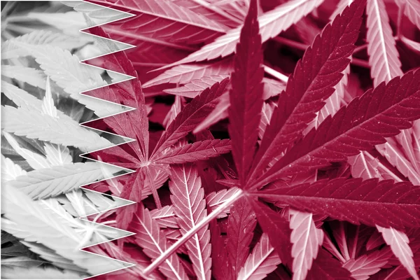 Bandeira do Catar sobre fundo de cannabis. Política de drogas. Legalização da maconha — Fotografia de Stock