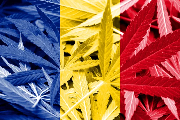 Romania Flag on cannabis background. Drug policy. Legalization of marijuana — Stock Photo, Image