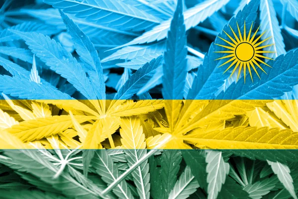 Bandeira de Ruanda sobre fundo de cannabis. Política de drogas. Legalização da maconha — Fotografia de Stock