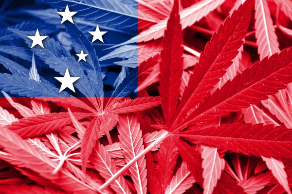 大麻の背景にサモアの旗。薬物政策。マリファナの合法化 — ストック写真