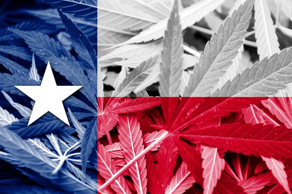 Texas State Flag on cannabis background. Drug policy. Legalization of marijuana — Stock Photo, Image