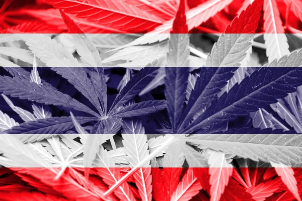 Thailand flagga på cannabis bakgrund. Narkotikapolitik. Legalisering av marijuana — Stockfoto