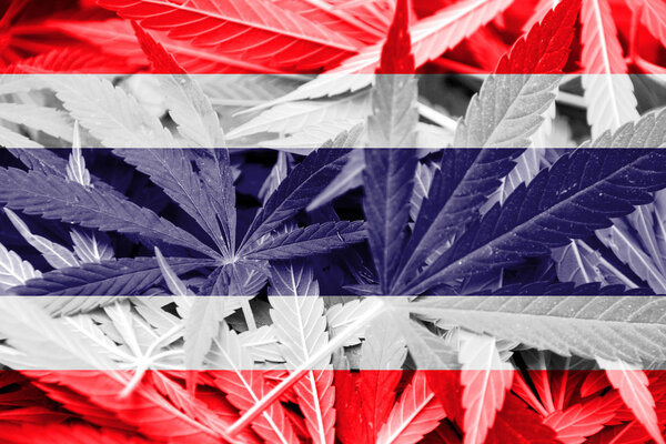Thailand Flag on cannabis background. Drug policy. Legalization of marijuana