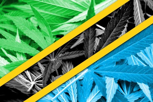 Tanzania flagga på cannabis bakgrund. Narkotikapolitik. Legalisering av marijuana — Stockfoto