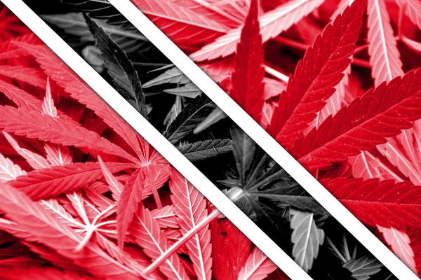 Trinidad en Tobago vlag op cannabis achtergrond. Beleid van de drug. Legalisatie van marihuana — Stockfoto