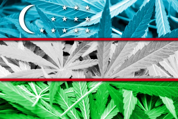 De vlag van Oezbekistan op cannabis achtergrond. Beleid van de drug. Legalisatie van marihuana — Stockfoto