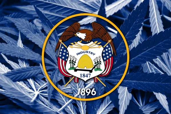 Bandera del Estado de Utah sobre fondo de cannabis. Política de drogas. Legalización de la marihuana —  Fotos de Stock