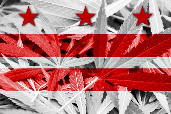 Washington DC Bandiera su sfondo cannabis. Politica sulle droghe. Legalizzazione della marijuana — Foto Stock
