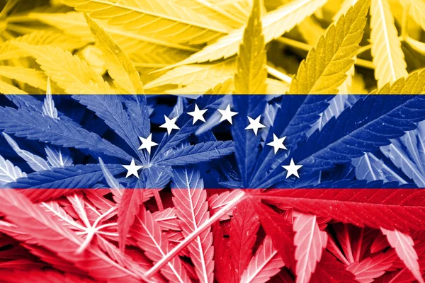 Venezuela bayrak esrar arka plan üzerinde. Uyuşturucu politikası. Marihuana yasallaştırma — Stok fotoğraf