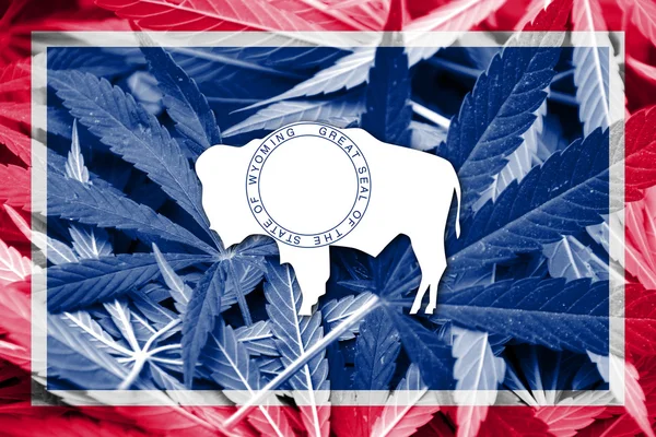 De vlag van Wyoming op cannabis achtergrond. Beleid van de drug. Legalisatie van marihuana — Stockfoto