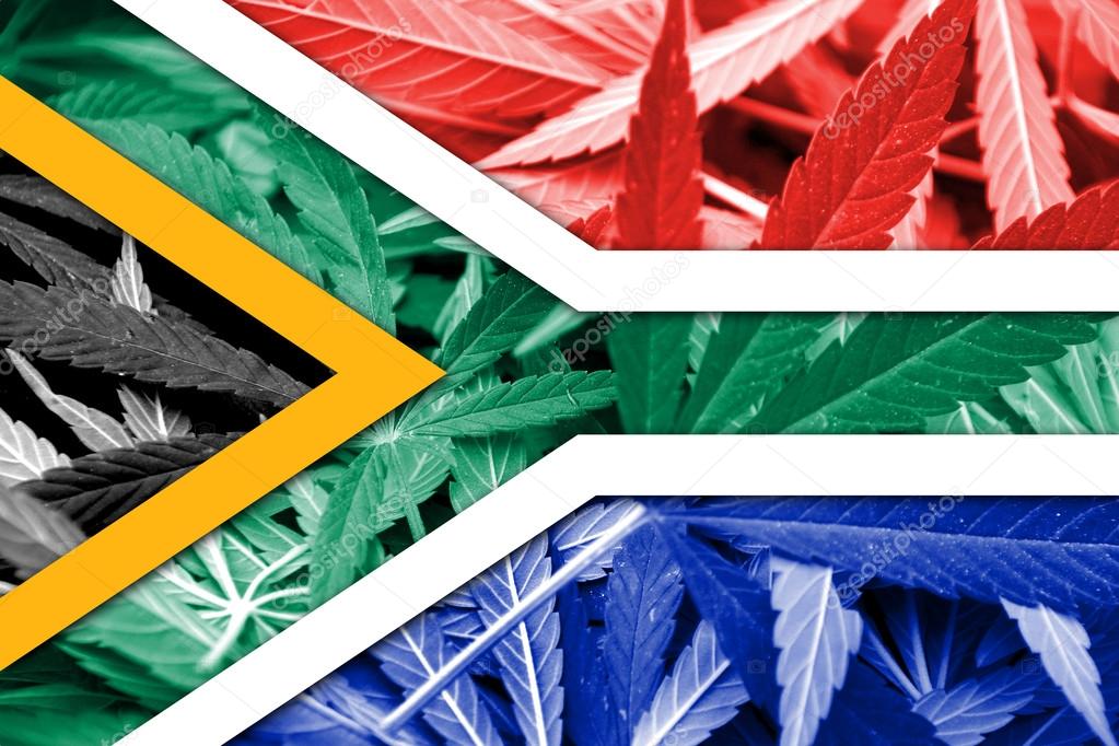 South Africa Flag on cannabis background. Drug policy. Legalization of marijuana