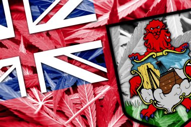 Bermuda bayrak esrar arka plan üzerinde. Uyuşturucu politikası. Marihuana yasallaştırma