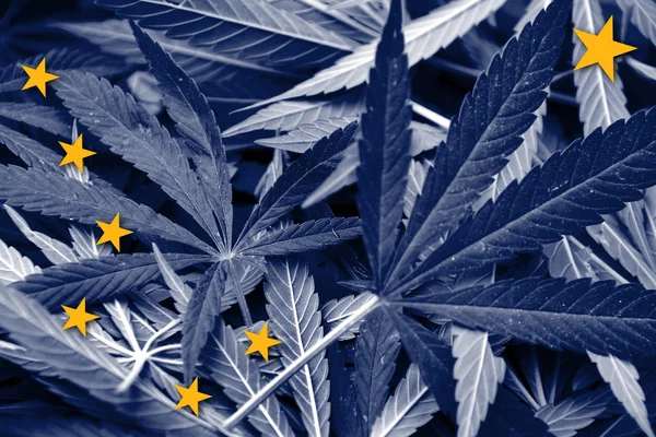 Alaska State Flag sur fond de cannabis. Politique sur les drogues. Légalisation de la marijuana — Photo