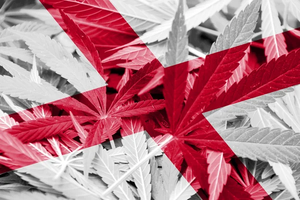 De vlag van Alabama op cannabis achtergrond. Beleid van de drug. Legalisatie van marihuana — Stockfoto