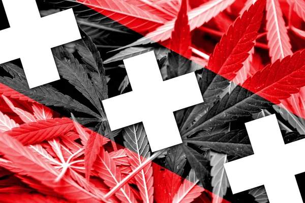 Amsterdam stad vlag op cannabis achtergrond. beleid van de drug. legalisatie van marihuana — Stockfoto