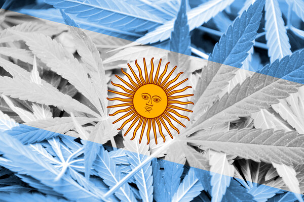 Argentina Flag on cannabis background. Drug policy. Legalization of marijuana