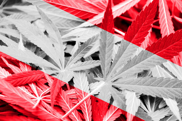 Austria Flag on cannabis background. Drug policy. Legalization of marijuana
