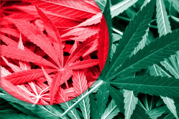 De vlag van Bangladesh op cannabis achtergrond. Beleid van de drug. Legalisatie van marihuana — Stockfoto