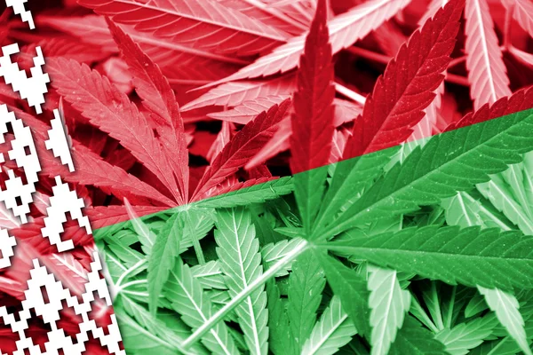 Bielorussia Bandiera su sfondo cannabis. Politica sulle droghe. Legalizzazione della marijuana — Foto Stock