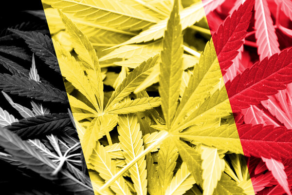 Belgium Flag on cannabis background. Drug policy. Legalization of marijuana