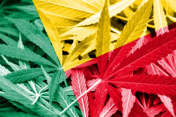 Benin vlajka v pozadí konopí. Protidrogová politika. Legalizace marihuany — Stock fotografie