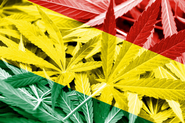 Bolivia Flag on cannabis background. Drug policy. Legalization of marijuana