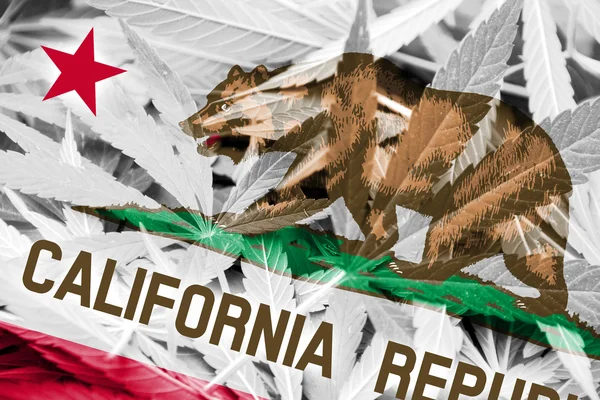 Bandera del Estado de California sobre fondo de cannabis. Política de drogas. Legalización de la marihuana —  Fotos de Stock