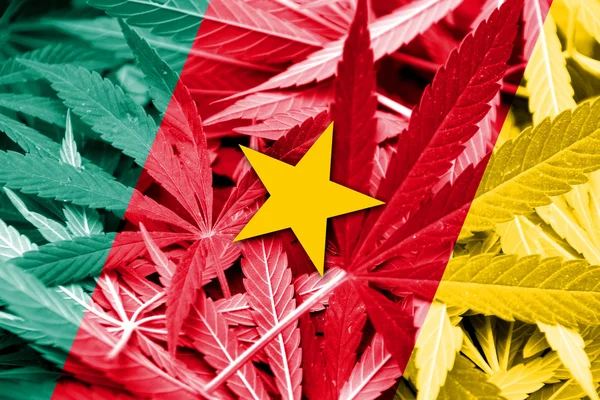 De vlag van Kameroen op cannabis achtergrond. Beleid van de drug. Legalisatie van marihuana — Stockfoto