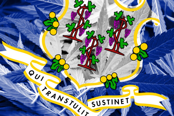 Connecticut State Flag on cannabis background. Drug policy. Legalization of marijuana