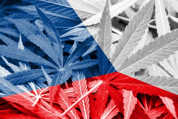 República Checa Bandera sobre fondo de cannabis. Política de drogas. Legalización de la marihuana —  Fotos de Stock