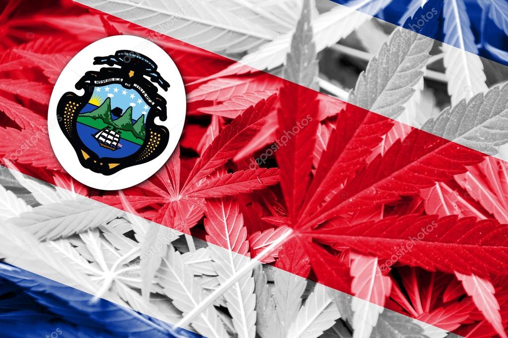 Costa Rica Flag on cannabis background. Drug policy. Legalization of marijuana