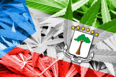 Ekvator Ginesi bayrak esrar arka plan üzerinde. Uyuşturucu politikası. Marihuana yasallaştırma