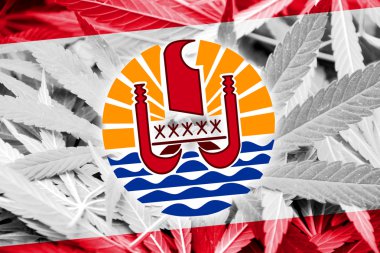 Fransız Polinezyası bayrak esrar arka plan üzerinde. Uyuşturucu politikası. Marihuana yasallaştırma