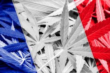 France Flag on cannabis background. Drug policy. Legalization of marijuana clipart